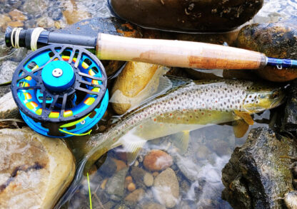 Chrono Fly Fishing Reel With Brown Trout