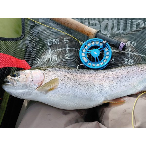 LIMITED STOCK 6-weight Fly Fishing Combo Kit - Image 2