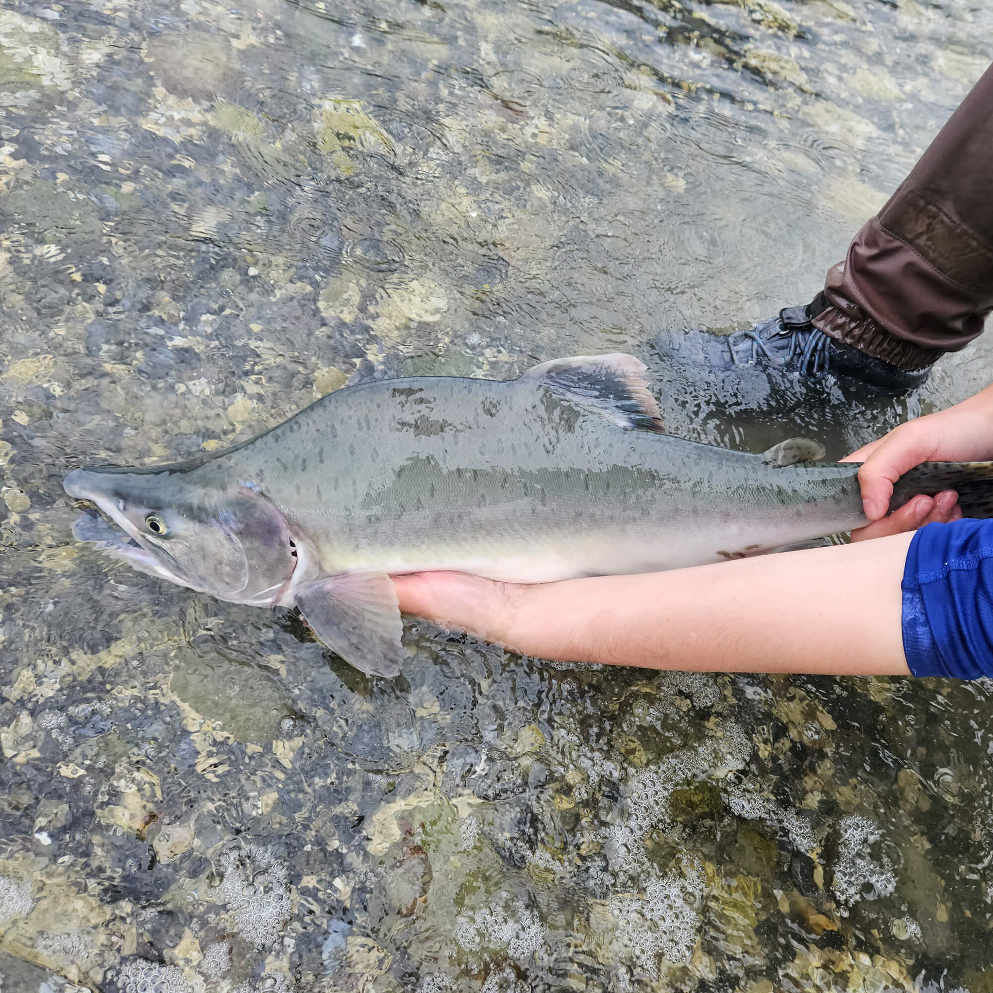 Reel Fly Fishers Chrono 6wt Fly Fishing Reel - Image 5