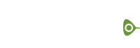 Reel fly fishers footer logo in the shape of a white, long, streamer with green head and white eye, and a body that looks to be made from some fur
