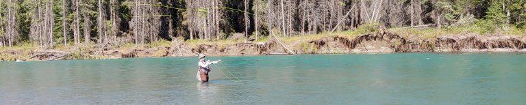 Wade fly fishing in clear, turquoise mountain river for trout