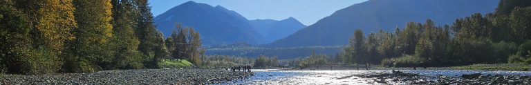 fly fishing mountain streams for rainbow trout in sunny, blue mountain river, surrounded by rocky beaches and forested mountains in the background