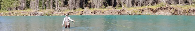Man fly fishing in turqouse river with forest in the background